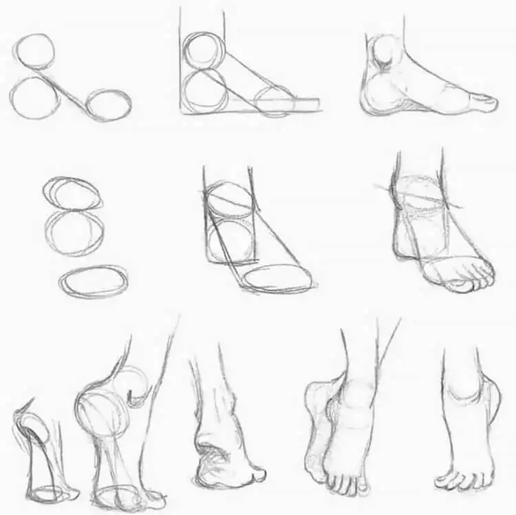 21 Human Anatomy Drawing Tutorials and References - How to Draw Feet 16