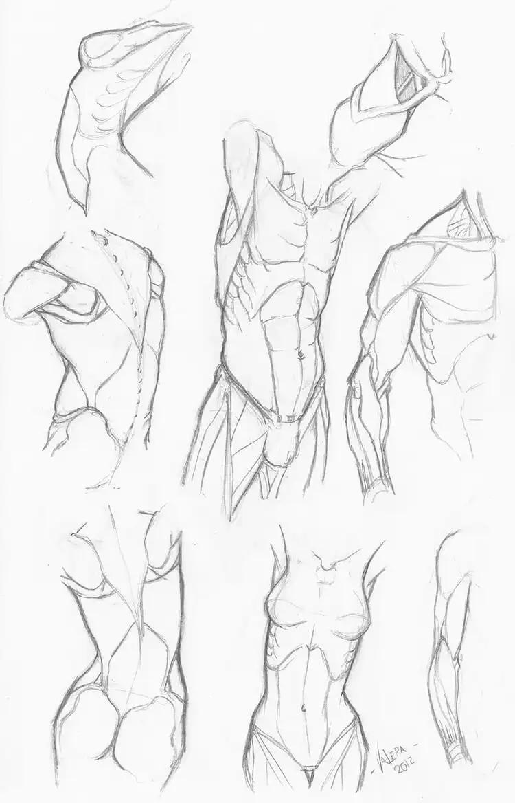 21 Human Anatomy Drawing Tutorials and References - How to Draw Feet 25