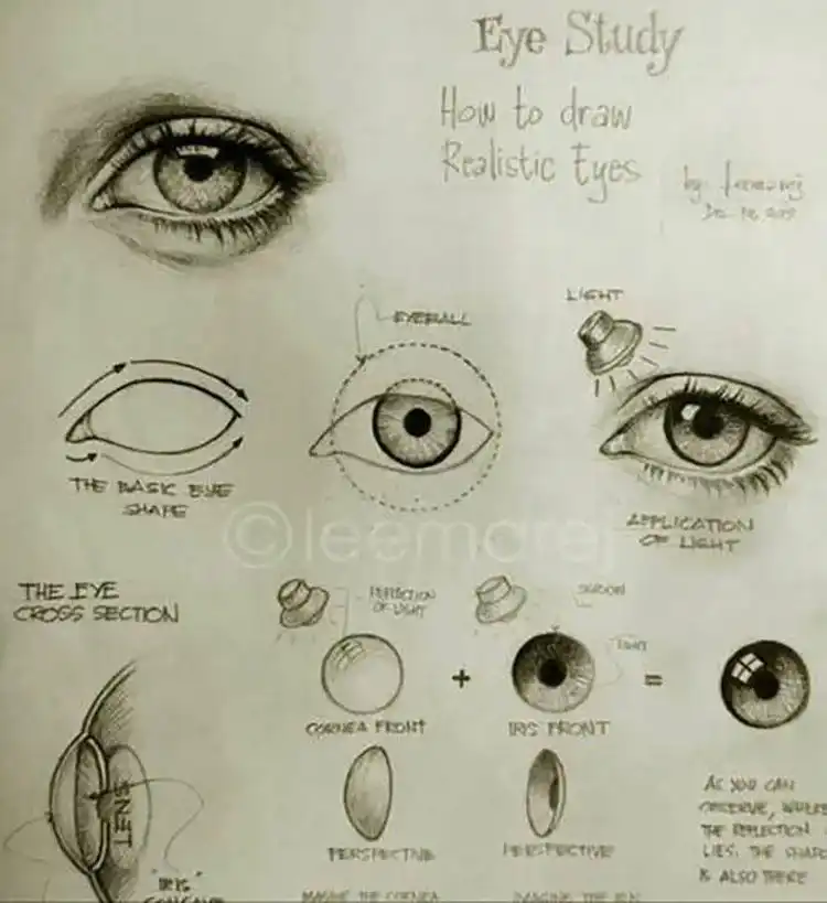 21 Human Anatomy Drawing Tutorials and References - How to Draw Feet 33