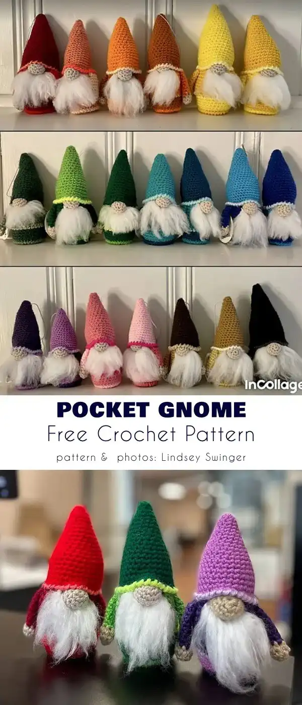 Several small, colorful 'Pocket Gnomes' lined up, demonstrating their compact size and variety.