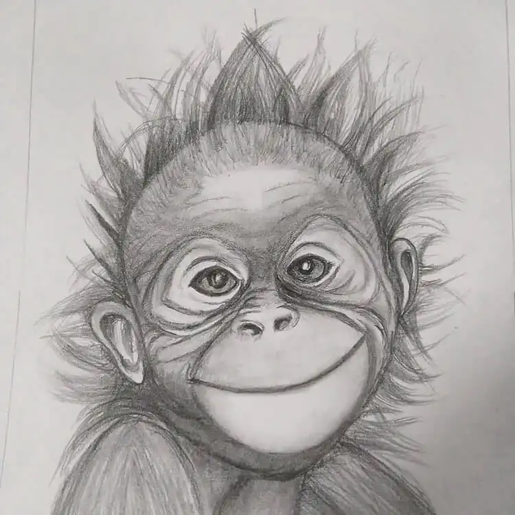 Whimsical sketch of a monkey with distinctive wild, unruly hair and an expressive, innocent face