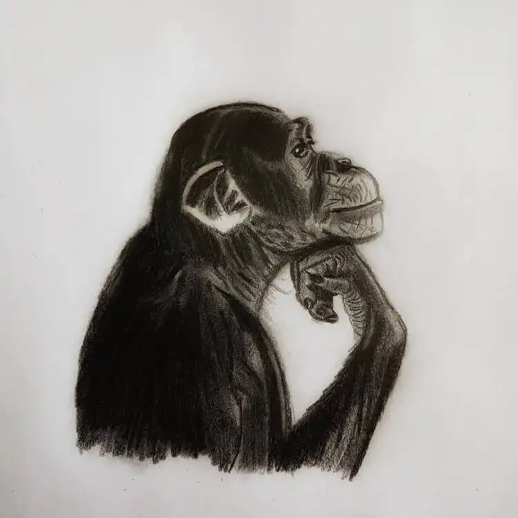 Profound portrait-style pencil drawing of a chimpanzee, capturing deep contemplation and intricate facial details