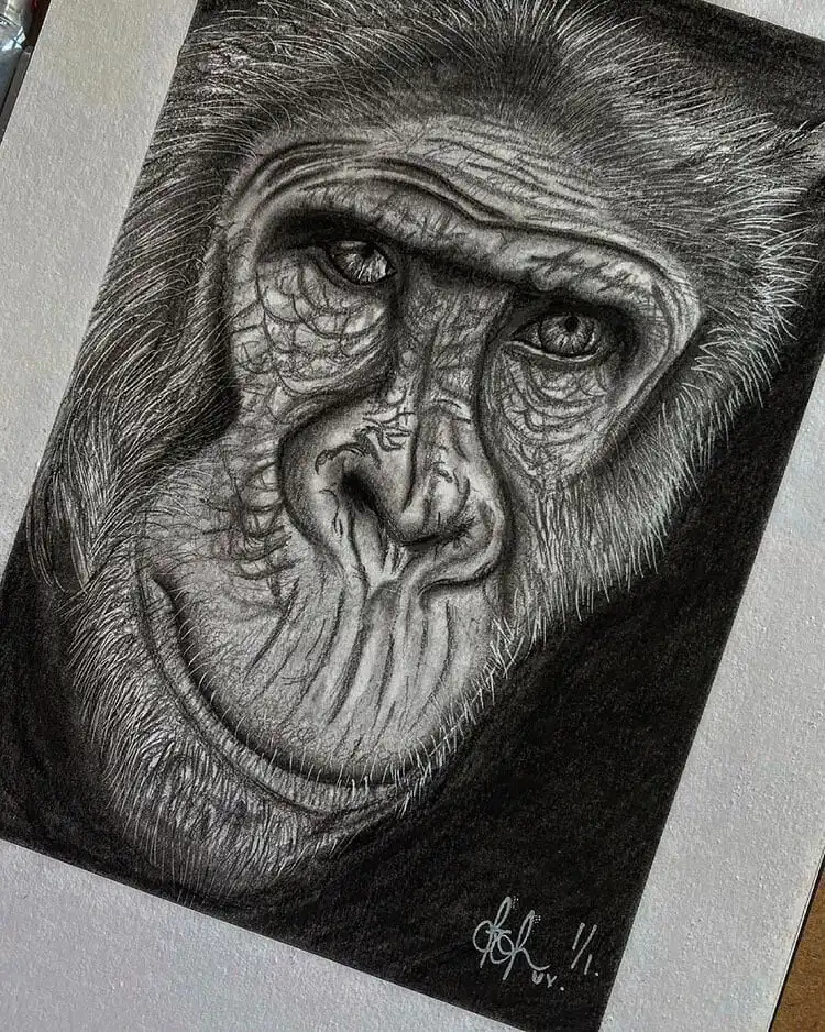 Highly detailed and realistic pencil drawing of a chimpanzee, focusing on intricate fur textures and deep expressions
