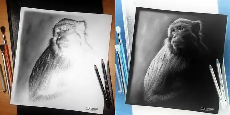 Unique inverted drawing of a monkey, challenging perception of light and shadow for advanced artists