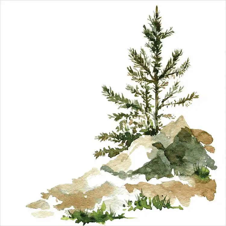 Collection of cute and simple watercolor plant doodles, perfect for beginners to practice basic shapes and colors.