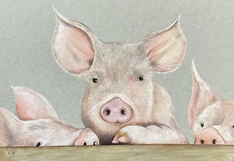 Drawing of three little pigs peeking over a wooden fence, illustrating character composition.