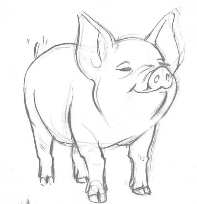 Drawing of a pig playfully rolling in mud, depicting natural behavior and environmental texture.