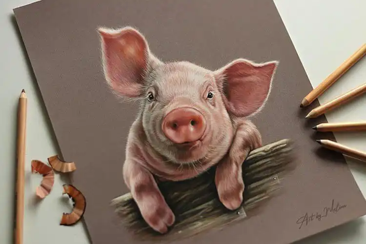 Easy pig drawing sketch reminiscent of Babe, ideal for beginners practicing realistic animal forms.
