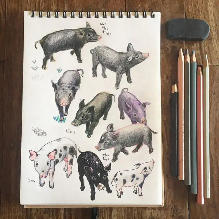 Sketchbook page featuring eight creative pig doodles, exploring variety in form and color.