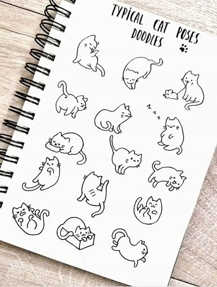 A variety of fun cat doodles with expressive faces, suitable for quick and playful drawing sessions.