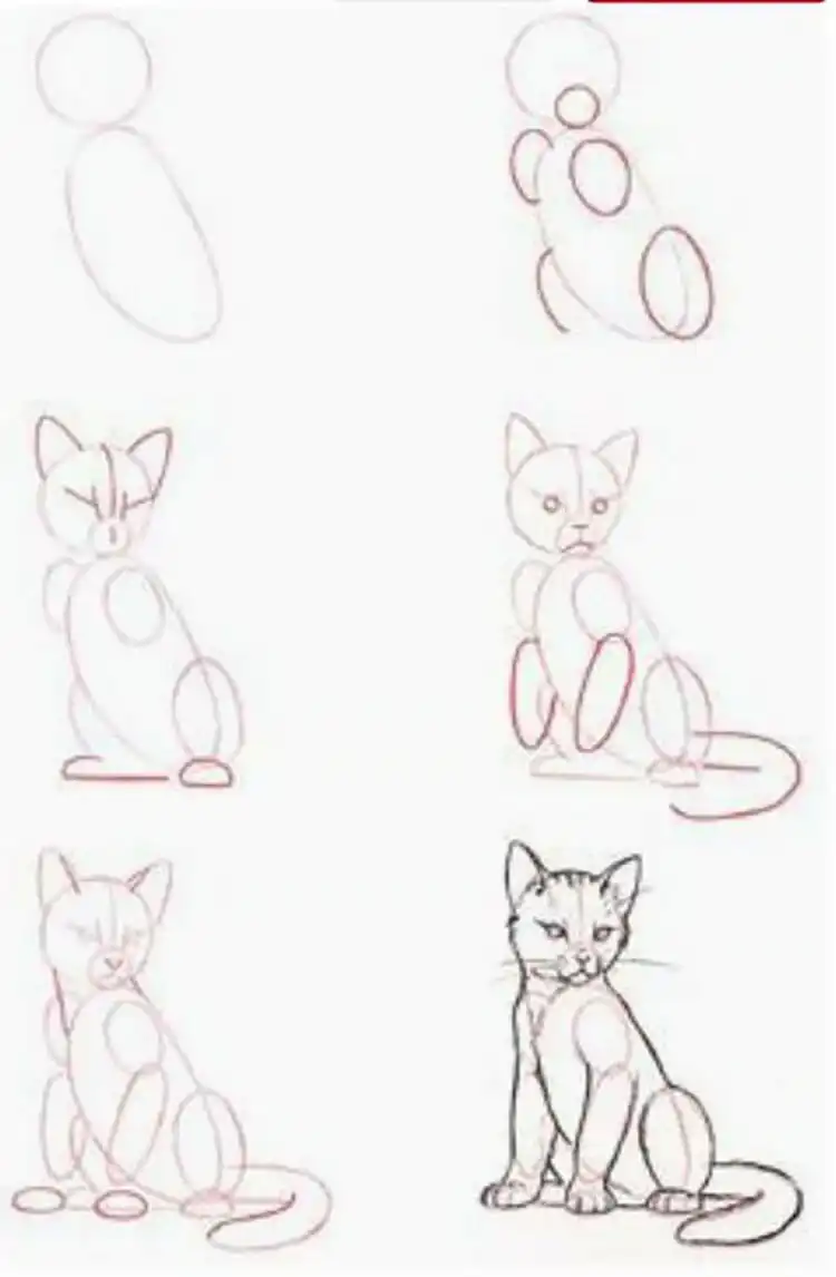 A multi-step visual showing how to achieve a realistic cat drawing from basic outline to detailed fur.