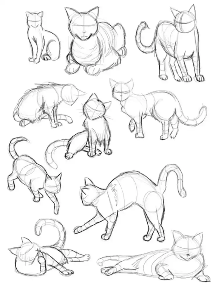A collection of cute cat sketches in various adorable postures, perfect for quick studies.