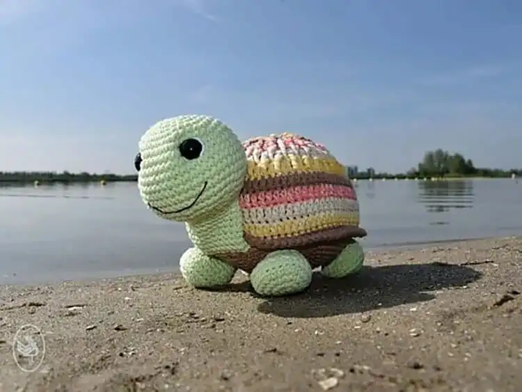 A 'Turtle Chief' crochet pattern, showcasing a unique and attractive textured shell design.