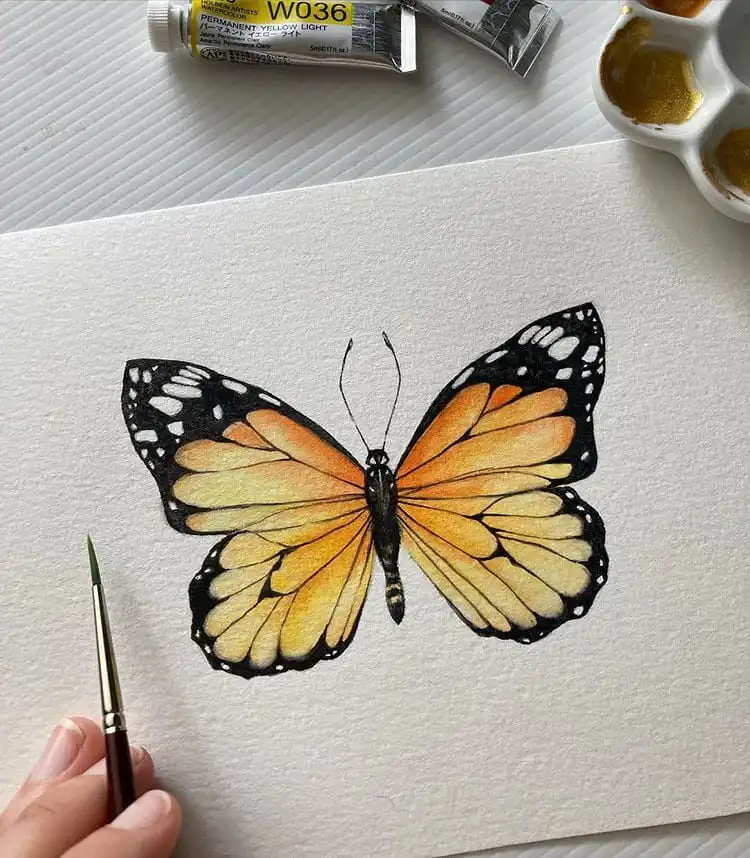 Simple watercolor monarch butterfly with classic orange and black wing patterns, perfect for painting.
