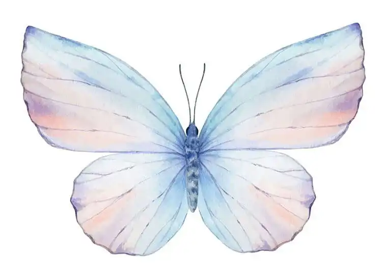 Soft pastel watercolor butterfly painting, capturing serene nature's beauty.