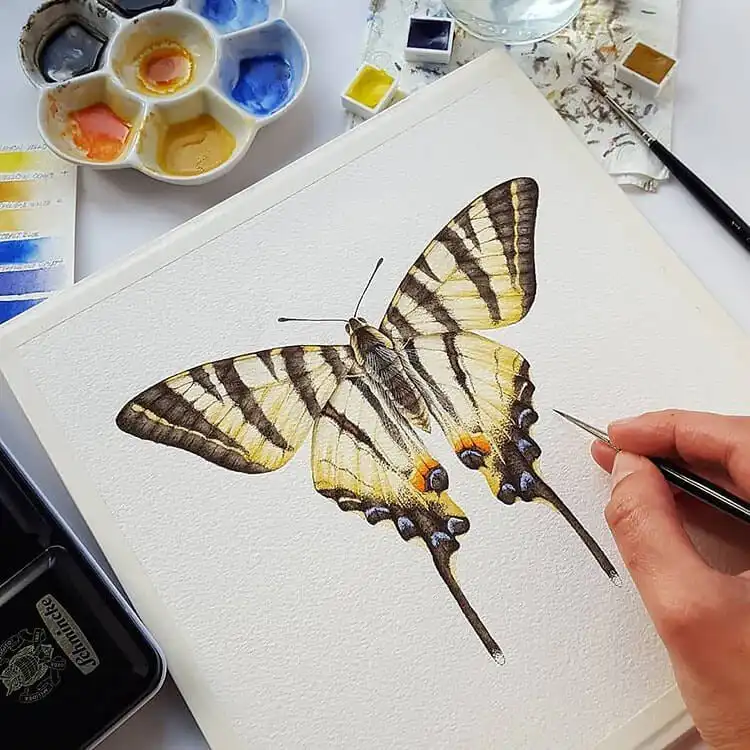 Artistic watercolor butterfly painting, demonstrating unique creative style and techniques.