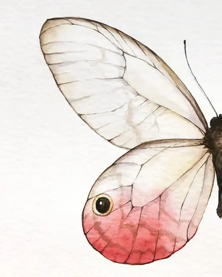 Close-up of an intricate watercolor butterfly wing, showing delicate details and colors.