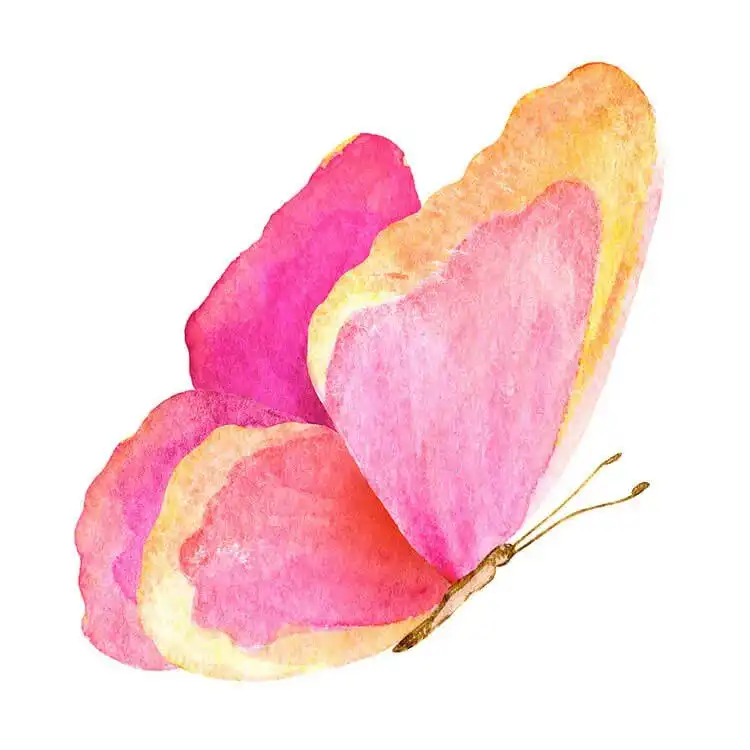 Dynamic pink and orange watercolor butterfly painting, vibrant and colorful.