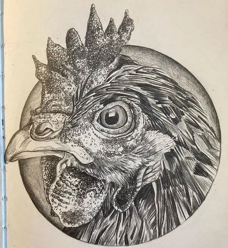Detailed chicken portrait by Francis, highlighting realistic textures and expressive qualities.