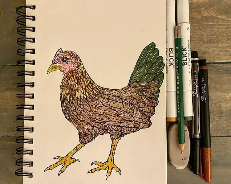 Simple, colored-in chicken drawing, ideal for beginner artists to practice basic forms and coloring.