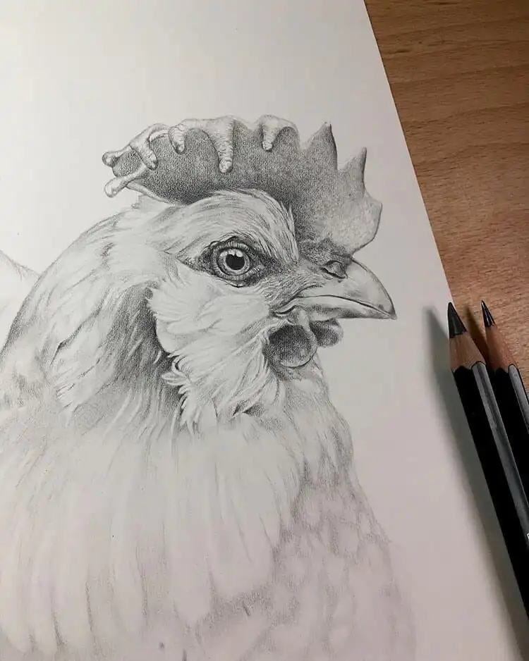 Highly detailed realistic chicken drawing, showcasing intricate feather textures and lifelike rendering.