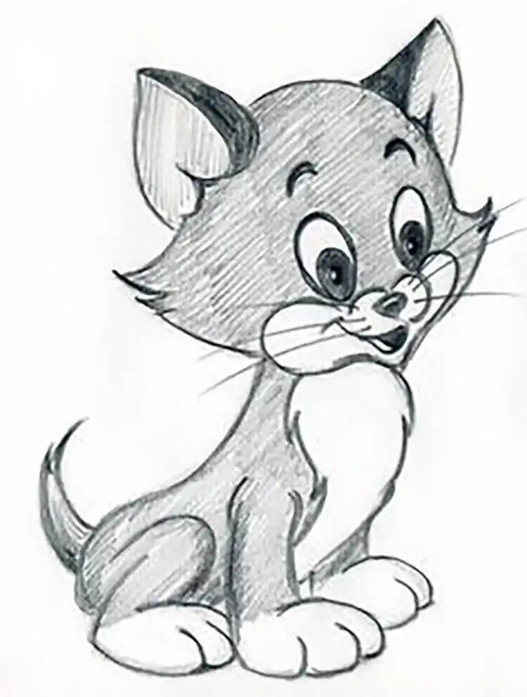 Easy cat drawing, focusing on feline anatomy, fur texture, and expressive features.