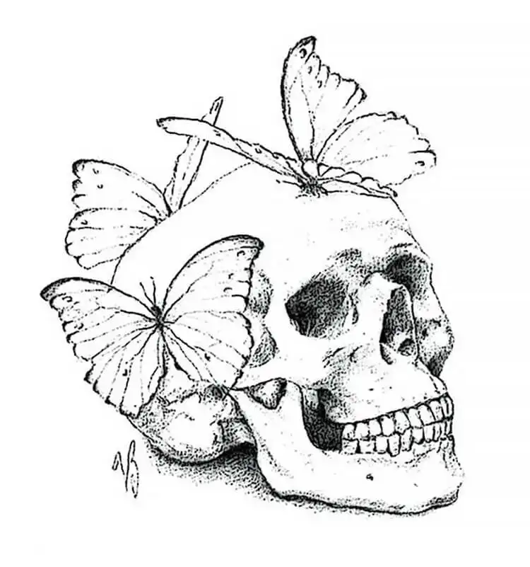 Intriguing drawing of a skull adorned with fluttering butterflies, symbolizing life and mortality.