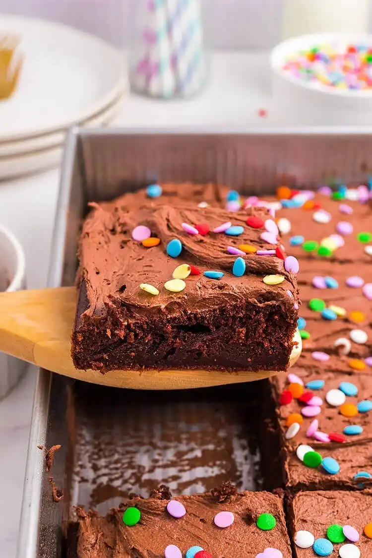 Rich chocolate sheet cake with smooth, dark chocolate frosting