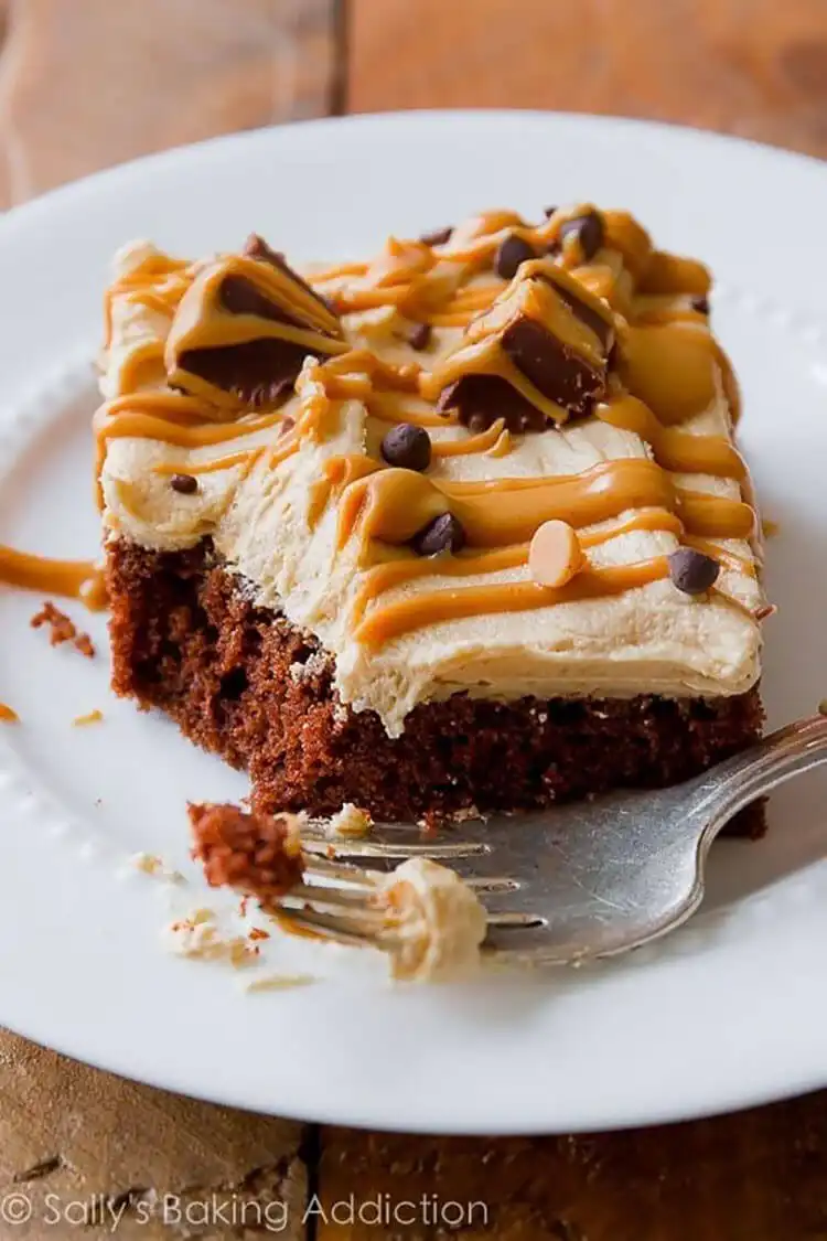 Chocolate sheet cake generously topped with peanut butter frosting