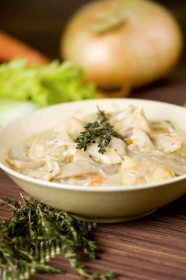 Hearty slow cooker squirrel and dumplings in a bowl, a comforting game meat recipe