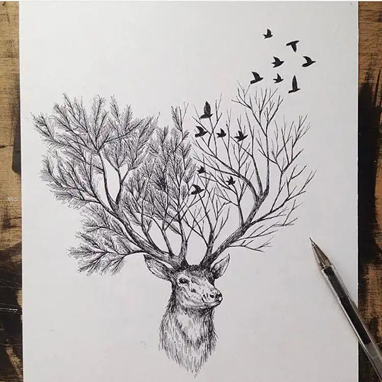 Majestic pencil art drawing of a deer with detailed, branching antlers.
