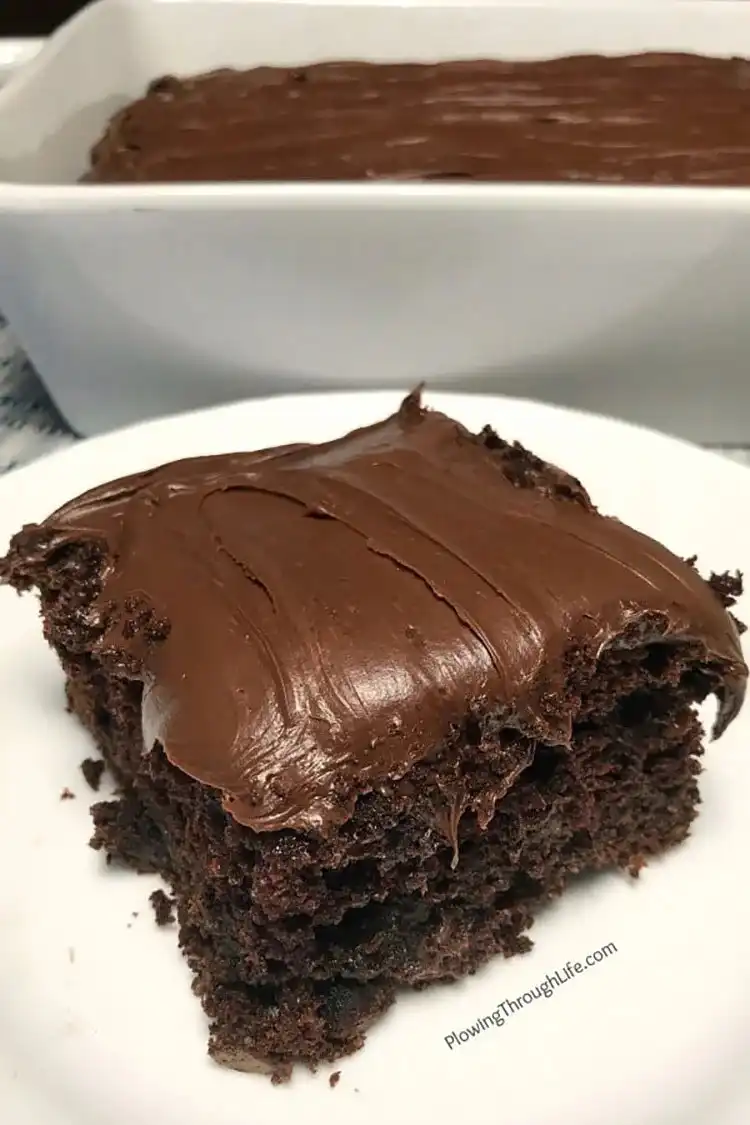 A deeply rich and moist chocolate cake, a perfect indulgence.