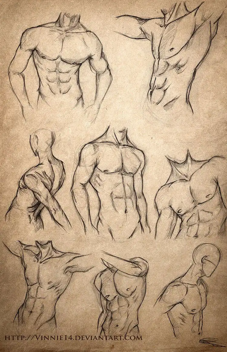 Male physique drawing reference for practicing male body forms