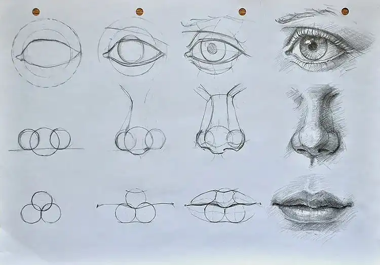 Step-by-step tutorial for drawing eyes, nose, and mouth accurately