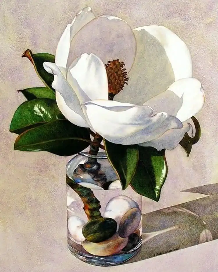 Realistic watercolor painting of a large white flower placed in a clear glass jar filled with stones and water, demonstrating transparency effects.