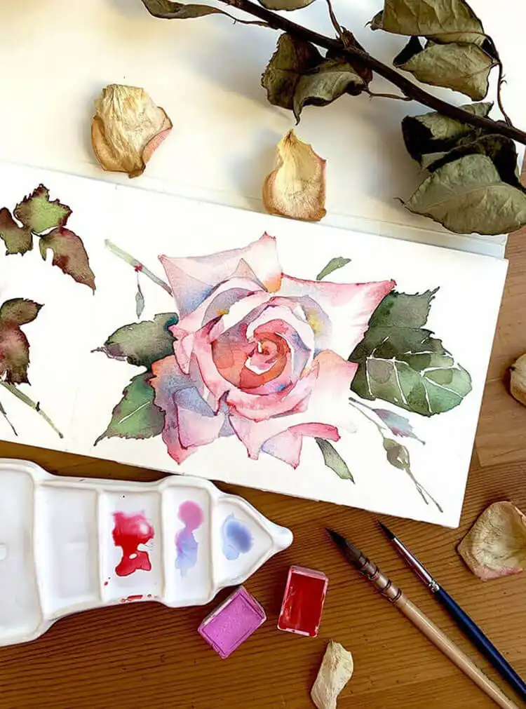 Detailed watercolor painting of a large, open rose, focusing on intricate petal layers and smooth color blending for a realistic floral study.