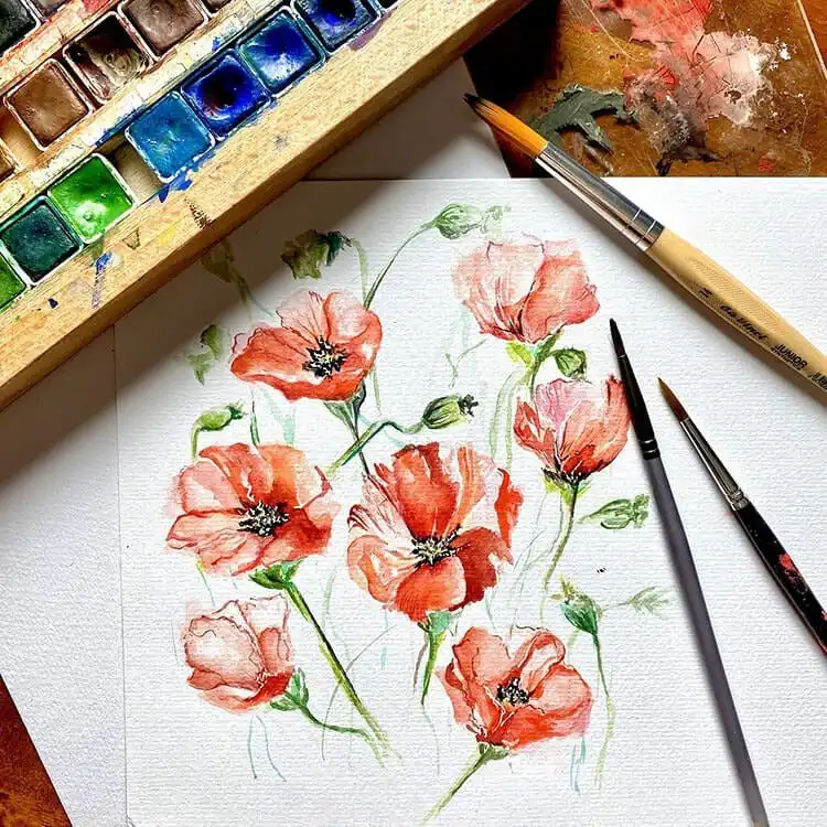 Collection of quick watercolor sketches of poppy flowers, demonstrating loose and spontaneous technique for floral practice.