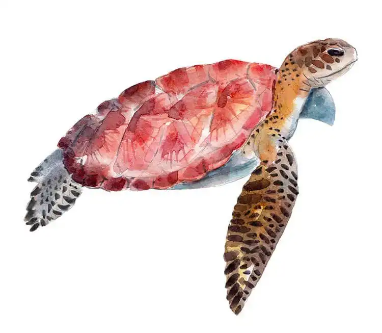 Intricate watercolor sea turtle showcasing detailed patterns and a vibrant array of natural colors.