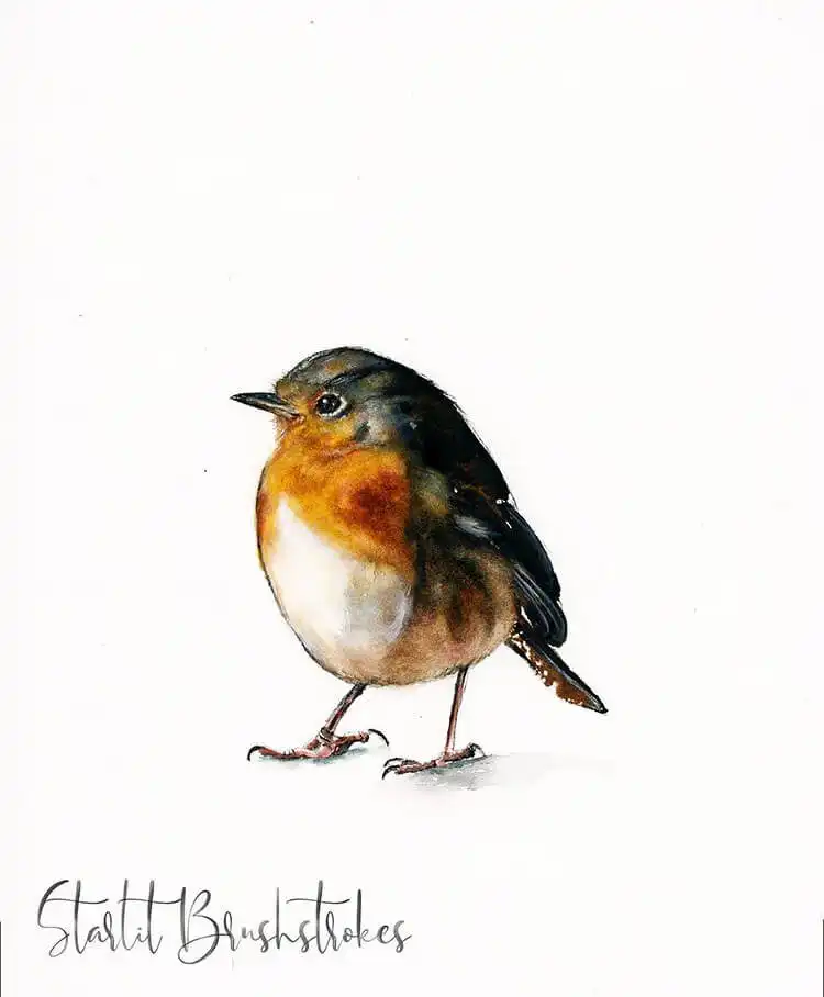 Simple and realistic watercolor painting of a cute finch, focusing on detailed feather textures.
