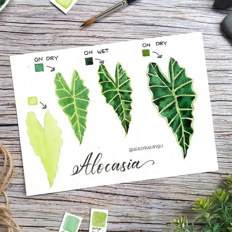 Watercolor illustration of an Alocasia leaf with prominent veins and intricate patterns.