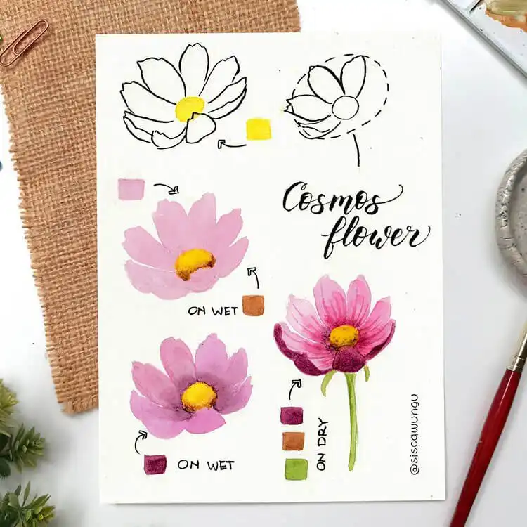 Delicate watercolor painting of a pink cosmos flower with soft petals and a detailed center.