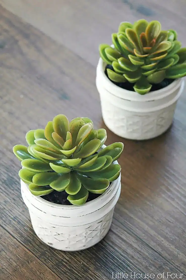 A collection of small, artificial dollar store succulents arranged in decorative miniature pots, adding greenery to a shelf.