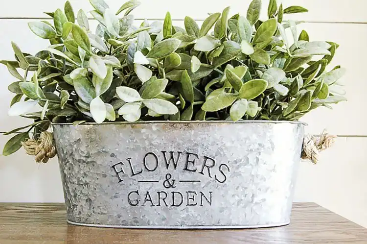 Metal planters from the dollar store treated to look like aged galvanized metal, holding small green plants.