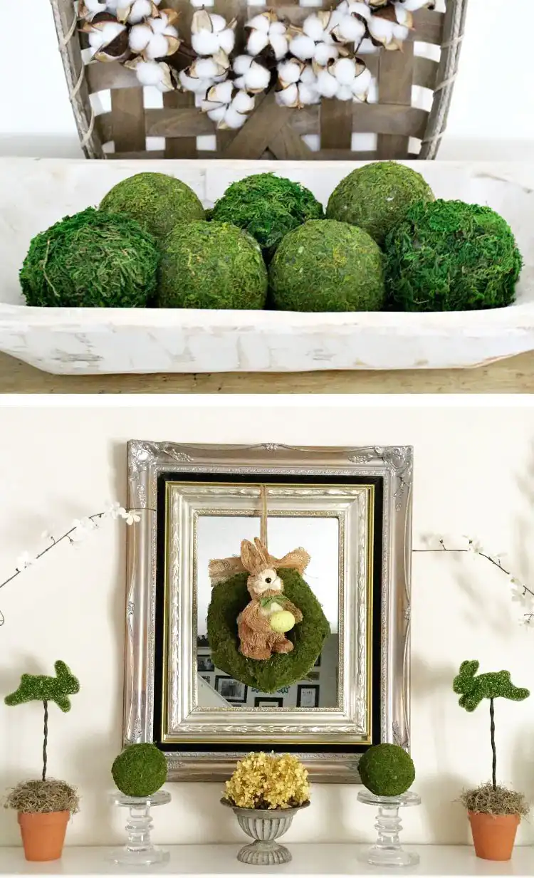 Decorative moss balls of various sizes=