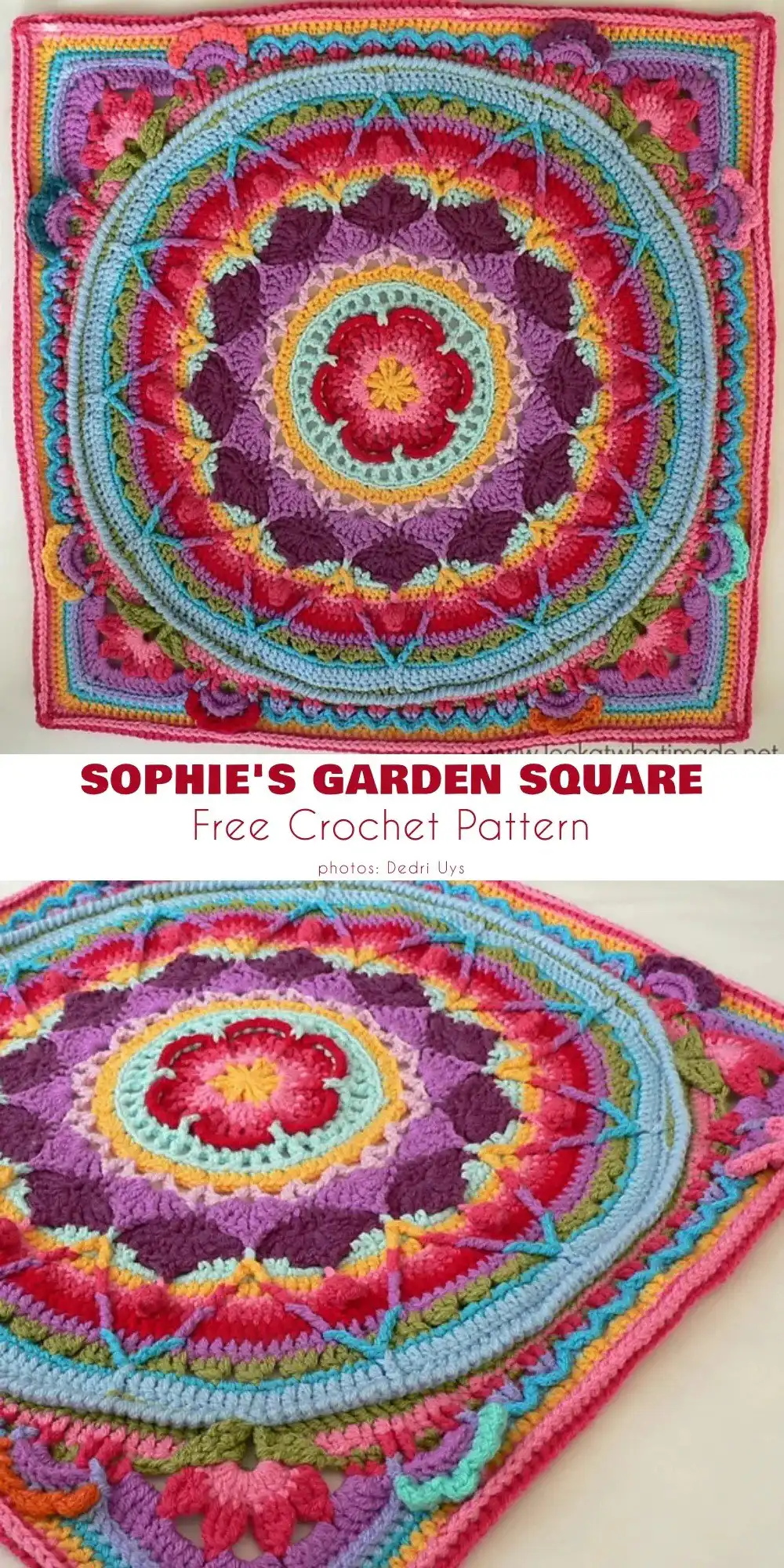 Sophie’s Garden Square in full bloom, showcasing its detailed floral mandala design within a square frame.