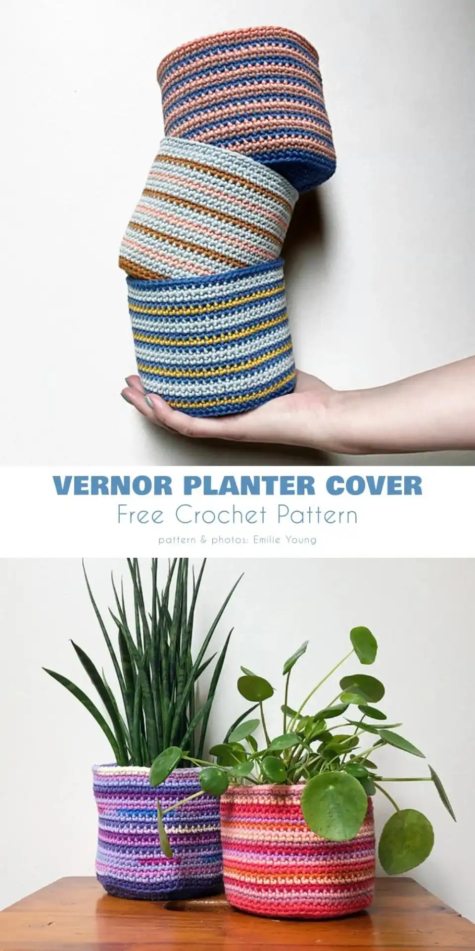A minimalist home interior with a crocheted basket cover neatly placed on a shelf, holding small plants and illustrating an elegant way to integrate Basket Cover As An Easy Way To Change Home Interiors.