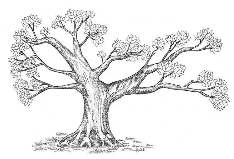 Artistic hand-drawn family tree illustration, blending personal history with beautiful tree drawing concepts.