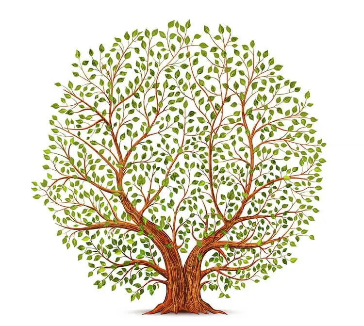 Expressive drawing of an old, gnarled tree with textured bark and sprawling branches, perfect for beautiful tree drawing inspiration.