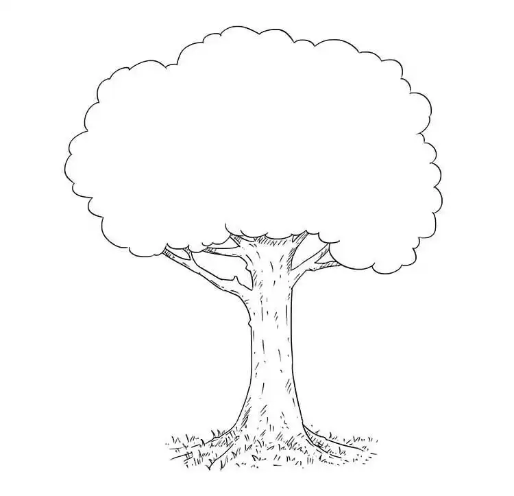 Simple and easy tree drawing with basic shapes and minimal details, ideal for beginners seeking beautiful tree drawing ideas.