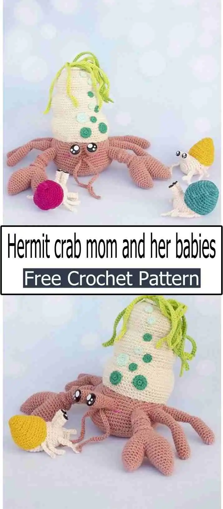A unique Kiwi Hermit Crab crochet design, featuring a green, off-white, and brown shell textured to resemble a kiwi fruit, paired with a small, happy crab body.